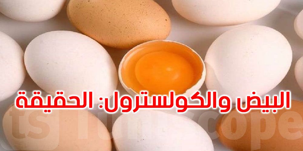 كم بيضة يجب أن نتناول يومياً؟ الإجابة تختلف حسب عمرك ووزنك!