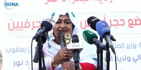 وضع حجر الأساس لمشروع صناعي ضخم بولاية البحر الأحمر - تليجراف الخليج