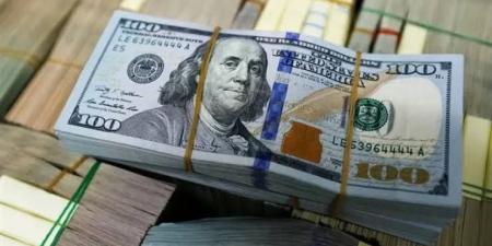 استقرار في أسعار العملات الأجنبية والجنيه يترقب المجهول - تليجراف الخليج
