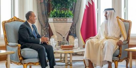 وزير الخارجية المصري من قطر: العدوان الإسرائيلي يستهدف الأمن الجماعي العربي - تليجراف الخليج