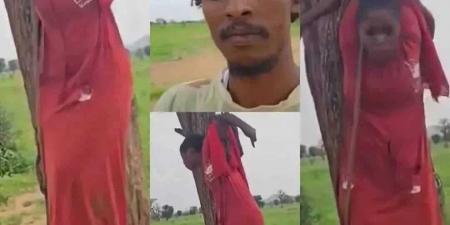 أول تعليق من الدعم السريع على تكبيل وتعليق امرأة على شجرة - تليجراف الخليج
