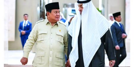 رئيس الدولة يبحث مع رئيس إندونيسيا القضايا الإقليمية والدولية           - تليجراف الخليج