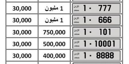 الأمن العام يطرح مجموعة من الأرقام المميزة للبيع في مزاد علني وجاهي - تليجراف الخليج