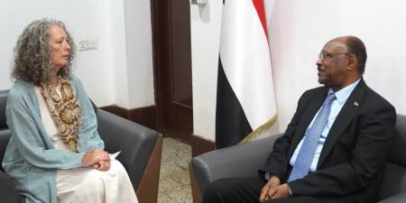 وفد السودان يشارك في صياغة الموقف الجماعي ضد التصعيد الإسرائيلي - تليجراف الخليج