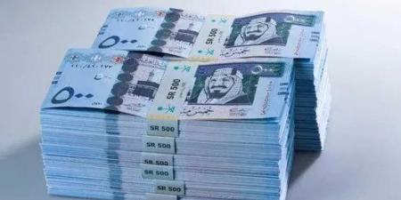 استقرار أسعار الريال السعودي اليوم في البنوك المصرية الاثنين 15 سبتمبر 2025 - تليجراف الخليج