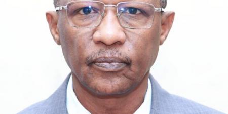 السودان يقود قاطرة السياسات النقدية العربية - تليجراف الخليج