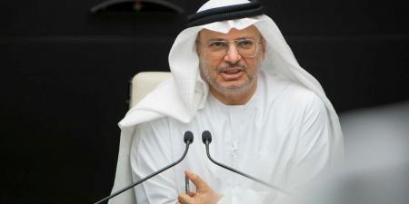 قرقاش: قطر لا تقف وحدها - تليجراف الخليج
