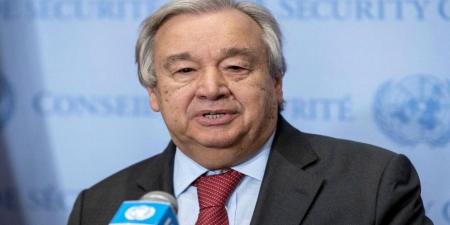 غوتيريش: ما يحدث في غزة مروع ونشهد الآن تدميرا منهجيا للمدينة - تليجراف الخليج