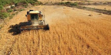 موسكو تبحث مع كبار التجار سبل إنعاش صادرات القمح بعد تراجع حاد - تليجراف الخليج