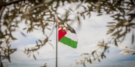 رويترز: اليابان لن تعترف بدولة فلسطينية في الوقت الراهن - تليجراف الخليج