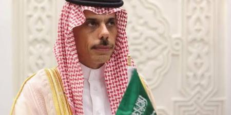 الأمير بن فرحان يبلغ كامل إدريس بإعادة برمجة الزيارة - تليجراف الخليج