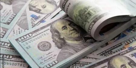 استقرار سعر الدولار أمام الجنيه المصري في بداية تعاملات الجمعة - تليجراف الخليج