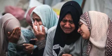 غزة: 79 شهيدًا و228 إصابة جديدة خلال 24 ساعة - تليجراف الخليج