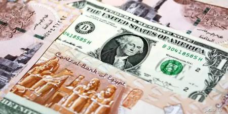 أسعار الدولار والعملات في مصر الأحد 21 سبتمبر 2025 - تليجراف الخليج