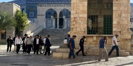 مستوطنون يقتحمون المسجد الأقصى - تليجراف الخليج
