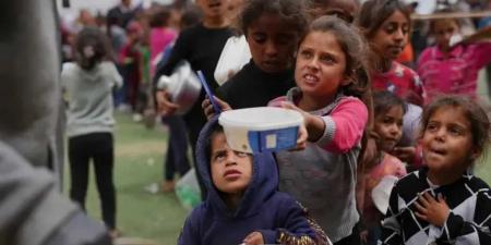 تجويع غزة مستمر: 440 شهيدًا بسبب المجاعة بينهم 147 طفلًا - تليجراف الخليج