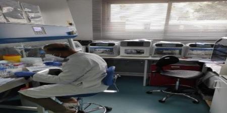 علماء يبدؤون مشروع بناء حمض نووي بشري اصطناعي وسط جدل واسع - تليجراف الخليج