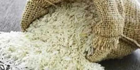 استقرار أسعار الأرز في الأسواق المصرية مع انطلاق موسم الحصاد - تليجراف الخليج