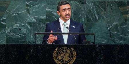 بن زايد: ندعم جهود إنهاء الصراع الفلسطيني الإسرائيلي - تليجراف الخليج