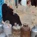 بلاغ عاجل من مواطنين ب بالمعلا يُدين متعهد الغاز المنزلي - تليجراف الخليج