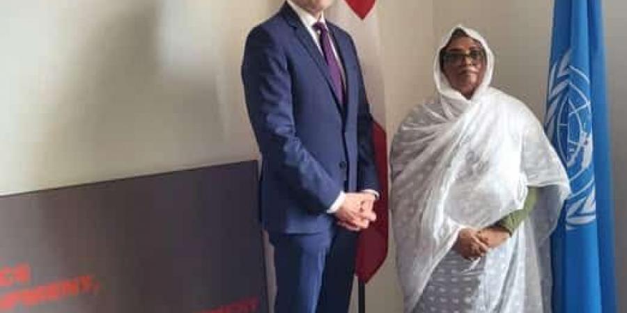 السودان يواجه مجلس حقوق الإنسان بإنتهاكات الدعم السريع - تليجراف الخليج