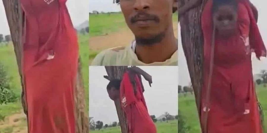 أول تعليق من الدعم السريع على تكبيل وتعليق امرأة على شجرة - تليجراف الخليج