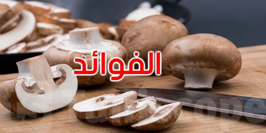 8 فوائد صحية للفطر تدعم القلب والمناعة وتقلل خطر السرطان... التفاصيل - تليجراف الخليج