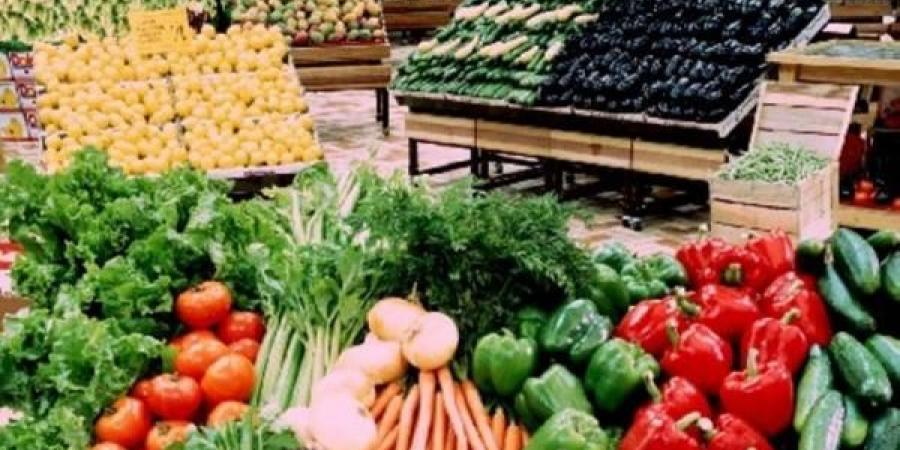 أطعمة طبيعية تعزز المناعة وتقلل خطر الإصابة بالسرطان - تليجراف الخليج