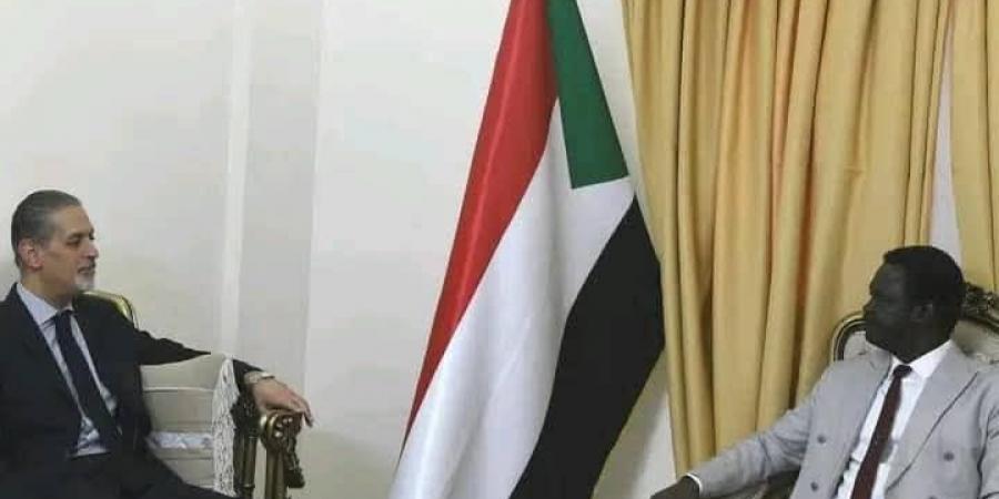 موقف القاهرة من الرباعية على طاولة مناوي والسفير المصري - تليجراف الخليج