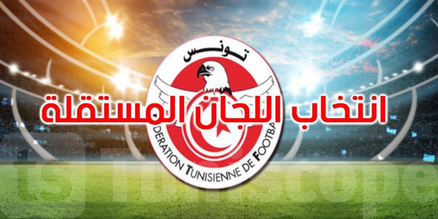 عاجل: بالأسماء: انتخاب اللجان المستقلة بجامعة كرة القدم - تليجراف الخليج