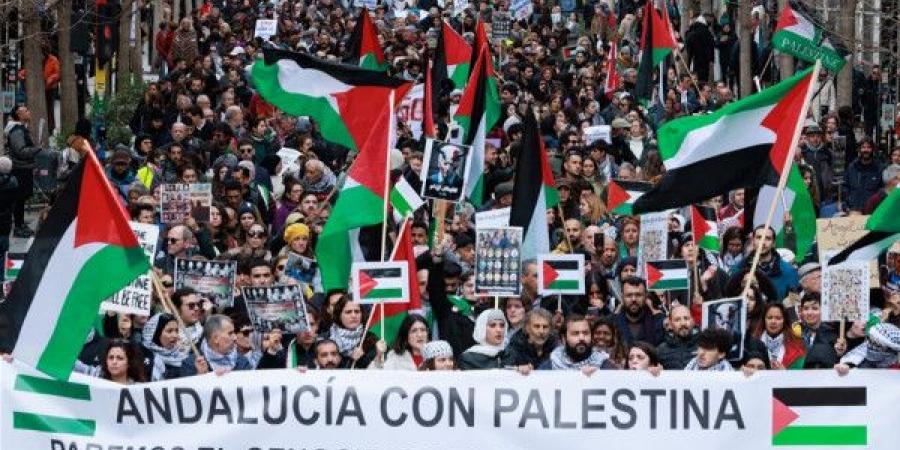 إسبانيا تعلن حظرًا شاملًا لتصدير واستيراد الأسلحة من وإلى إسرائيل - تليجراف الخليج
